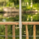 Pince de table - Paranocta