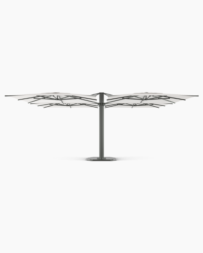 Parasol 501